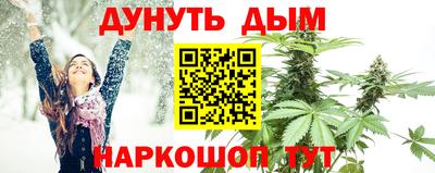 дживик Моздок